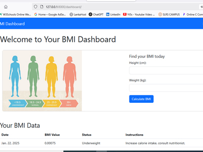 BMI Tracking System
